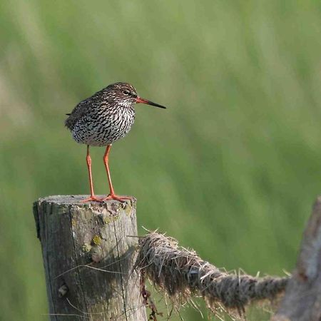 Seevilla Wietjes Whg 5 Baltrum Kültér fotó