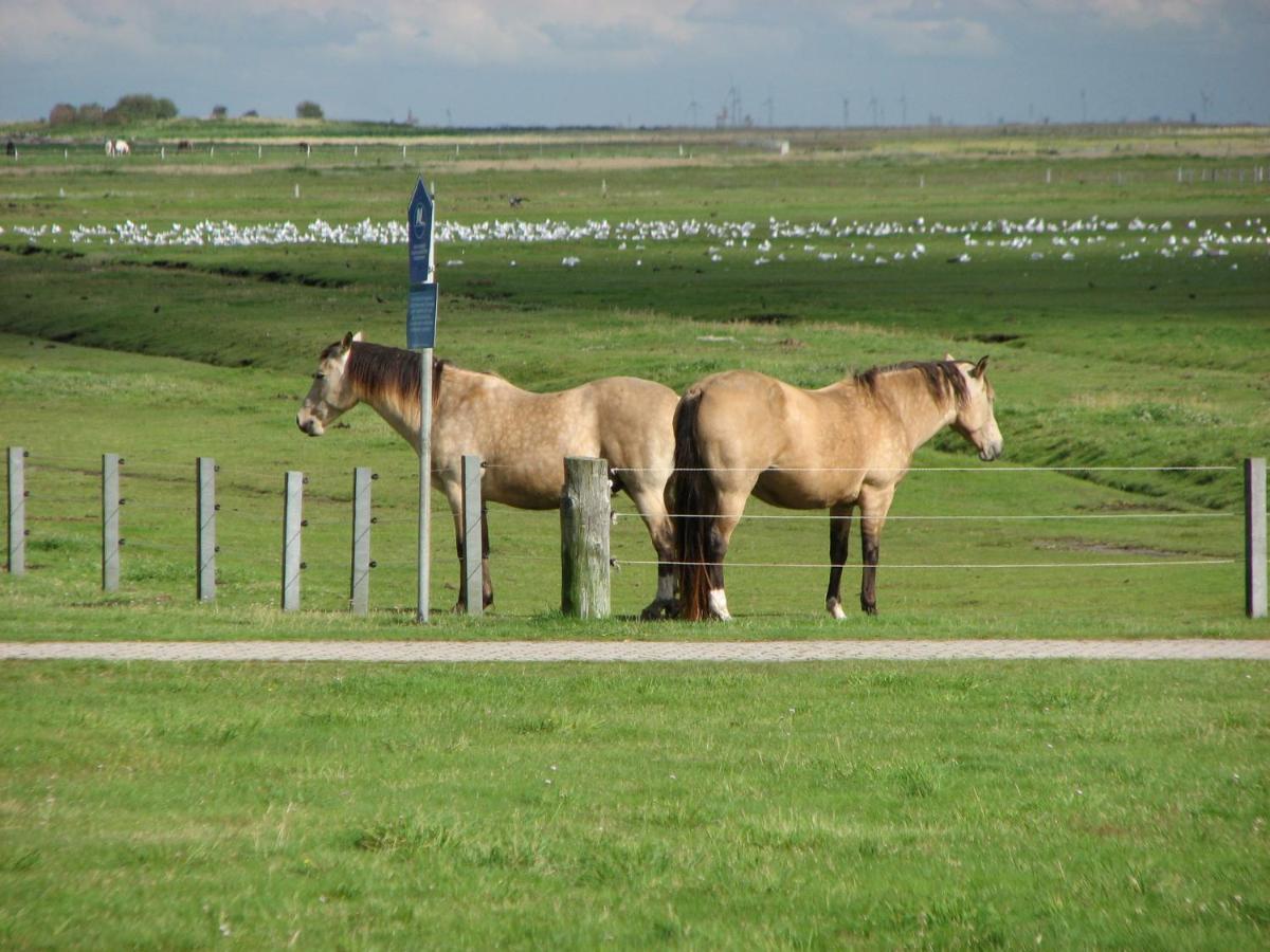Seevilla Wietjes Whg 5 Baltrum Kültér fotó